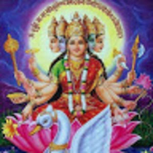 Meet your Posher, Dilip